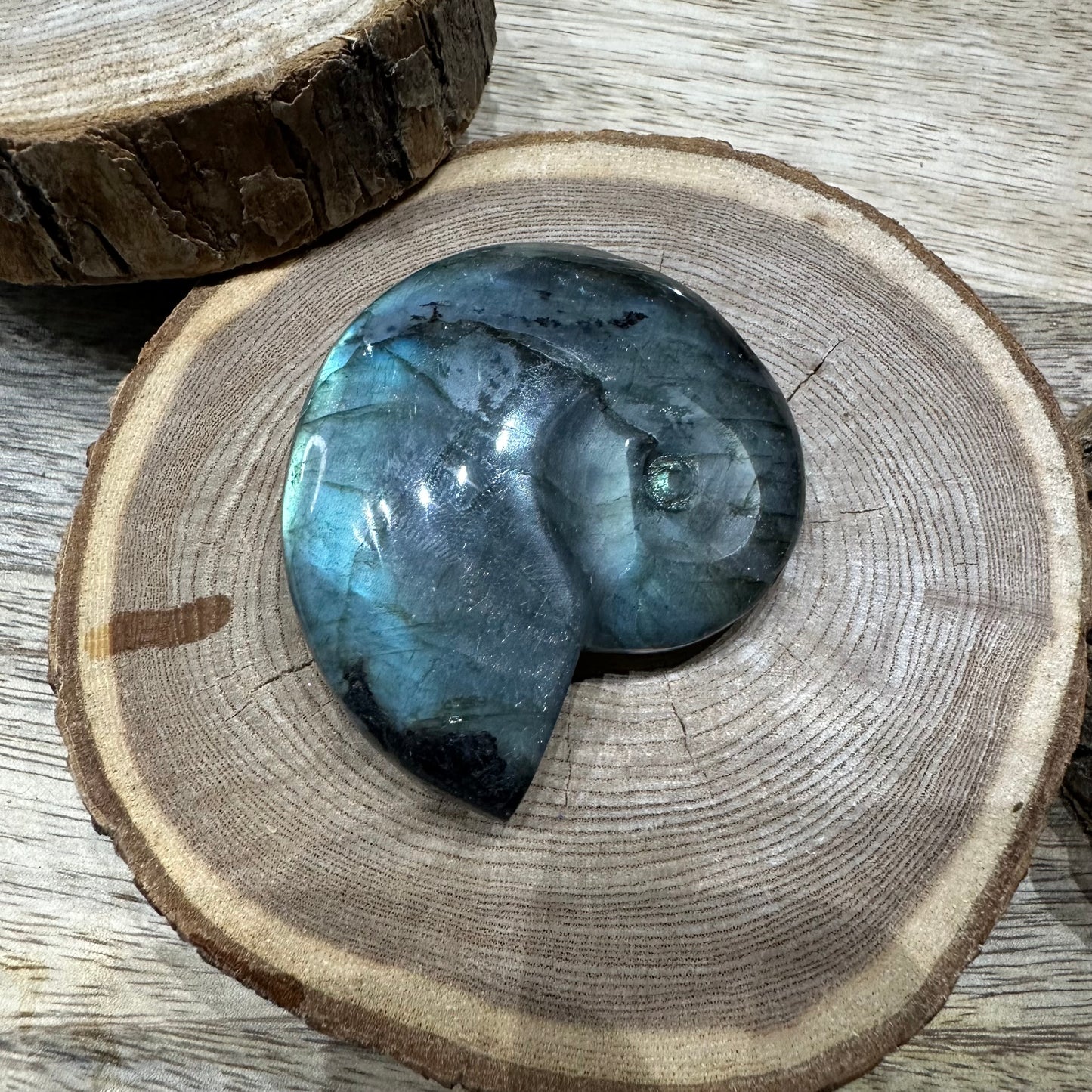 Escargot en Labradorite – Pierre de Protection et d’Intuition – Qualité AAA – REF 2