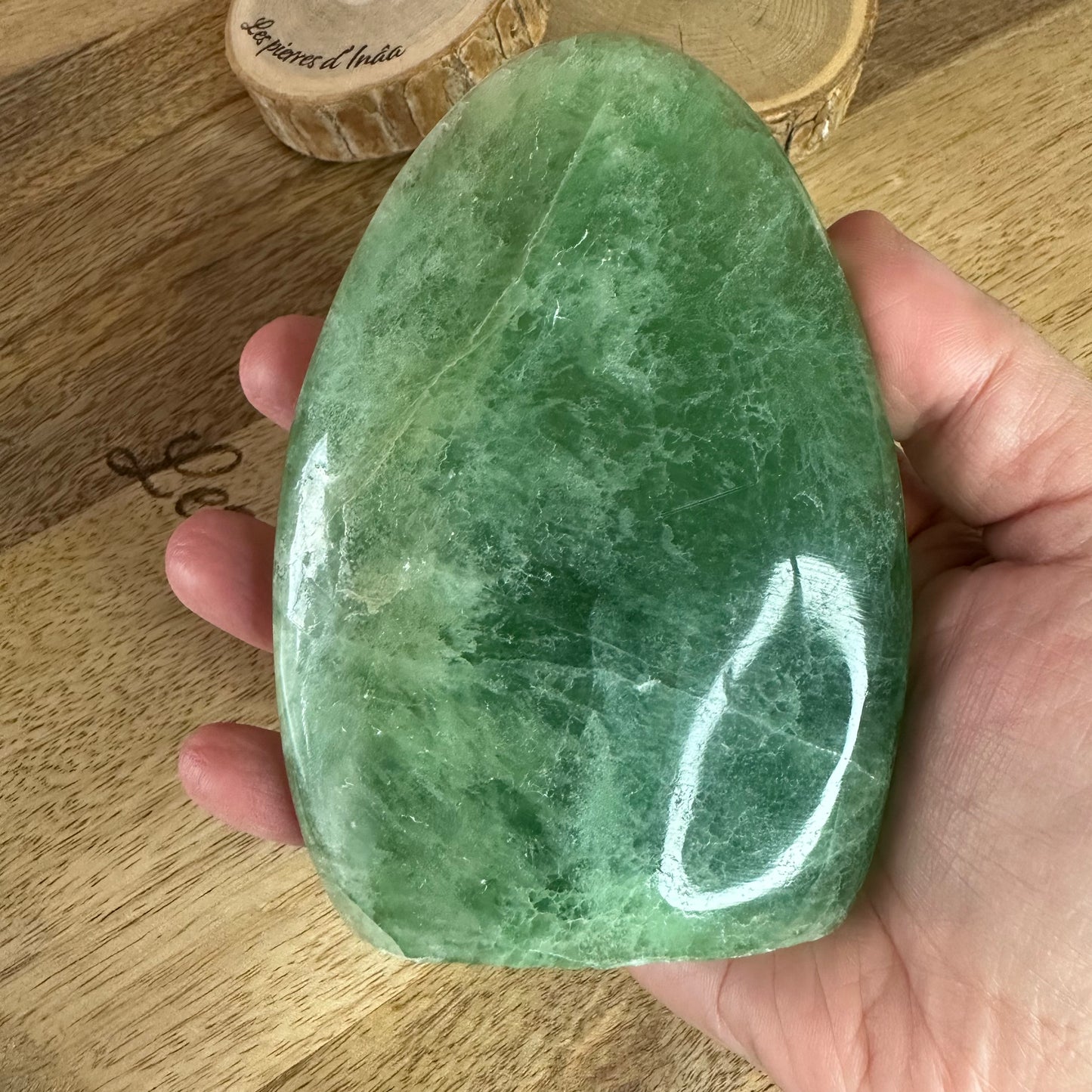 Forme libre Fluorite Verte – Clarté mentale & calme intérieur (Réf. 51) 589 gr