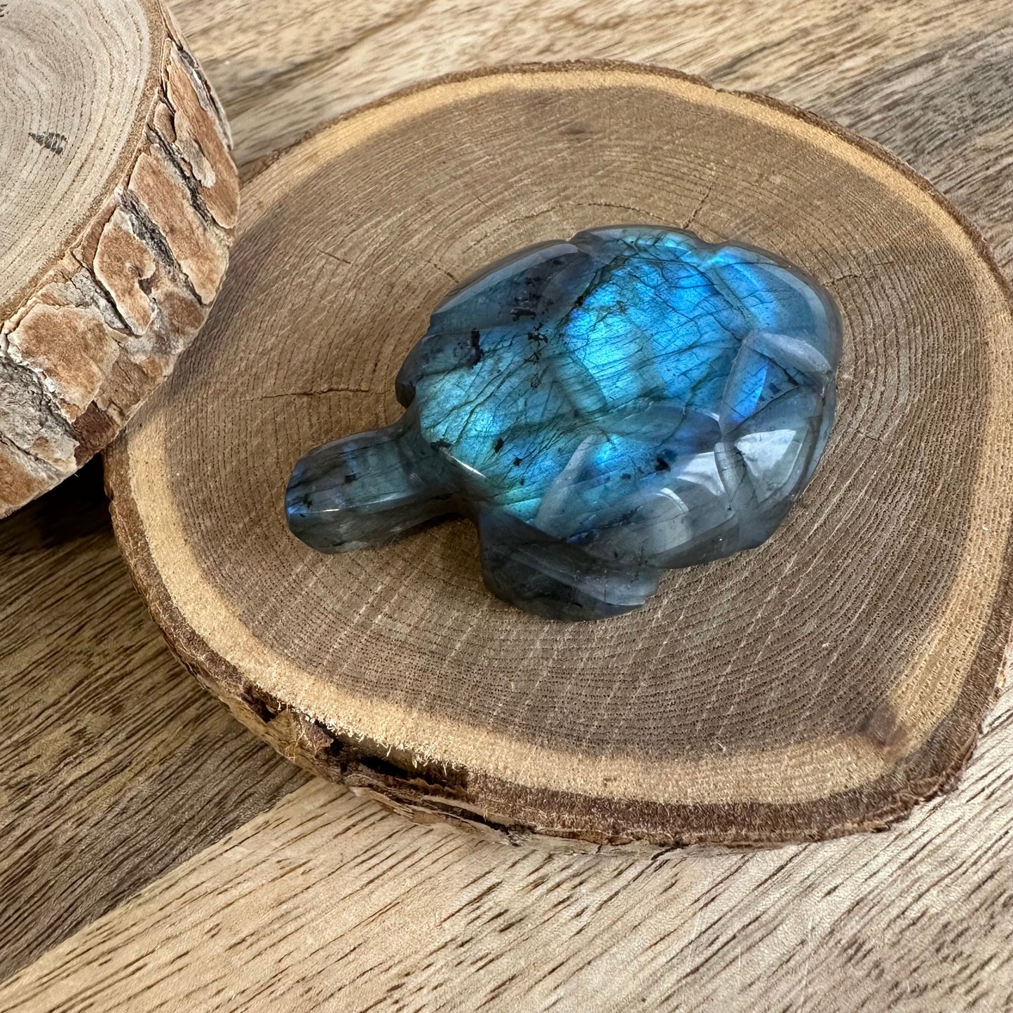 Tortue  – Protection, Intuition et Bouclier énergétique (REF 236)