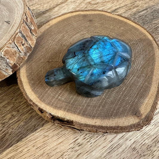 Tortue  – Protection, Intuition et Bouclier énergétique (REF 236)