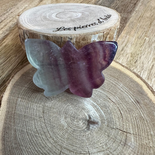 Papillon en Fluorite multicolore - culture décorative et apaisante - REF 479