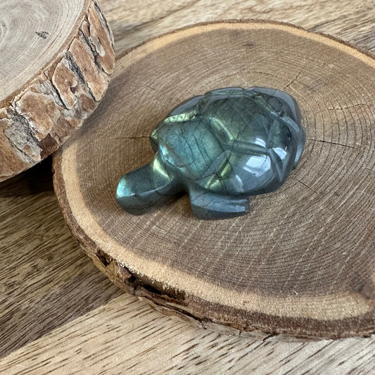 Tortue  – Protection, Intuition et Bouclier énergétique (REF 235)