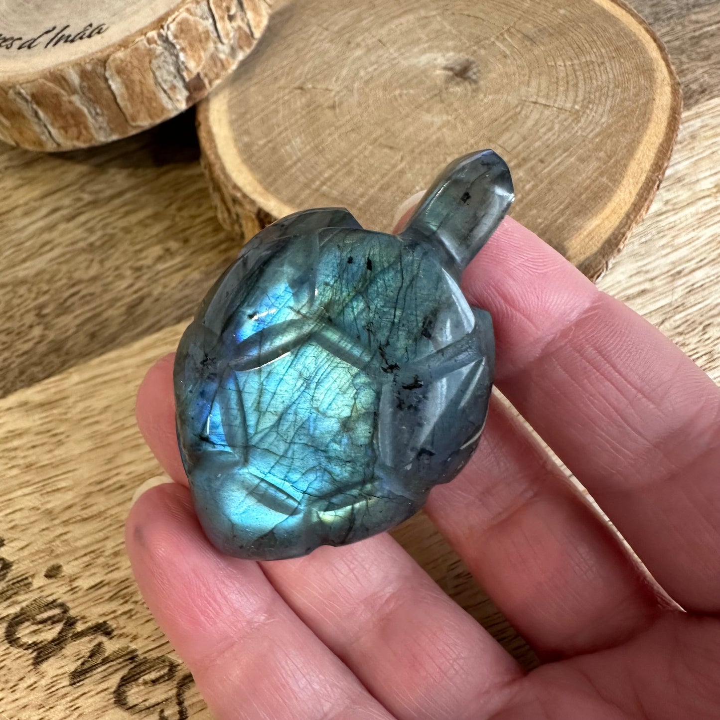 Tortue  – Protection, Intuition et Bouclier énergétique (REF 236)