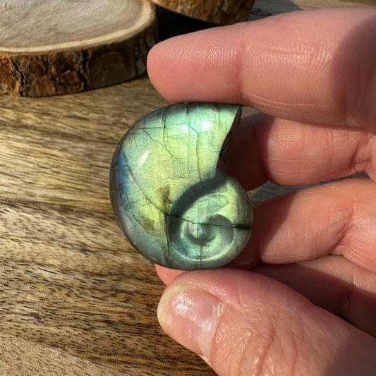 Escargot en Labradorite – Pierre de Protection et d’Intuition  – REF 216