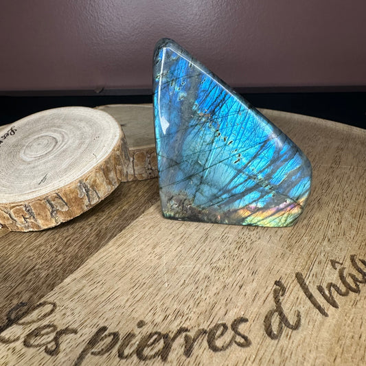 Forme Libre Labradorite – Protection, Intuition et Équilibre Émotionnel – REF 38 (217 g)