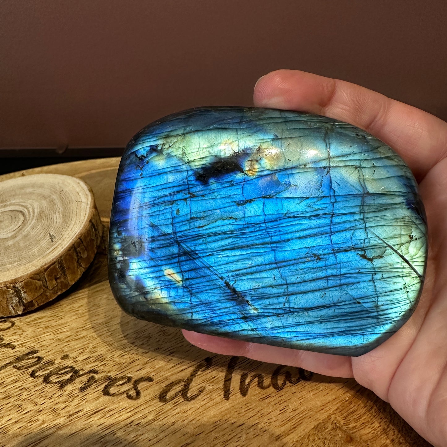 Forme Libre Labradorite – Protection, Intuition et Équilibre Émotionnel – REF 78 (460 g)