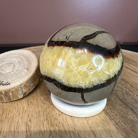 Sphère en Septaria – Stabilité & introspection émotionnelle (Réf. 232) 668gr