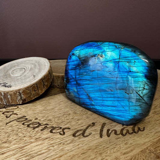 Forme Libre Labradorite – Protection, Intuition et Équilibre Émotionnel – REF 78 (460 g)