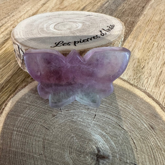 Papillon en Fluorite multicolore - culture décorative et apaisante - REF 480