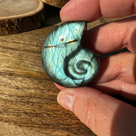 Escargot en Labradorite – Pierre de Protection et d’Intuition  – REF 218