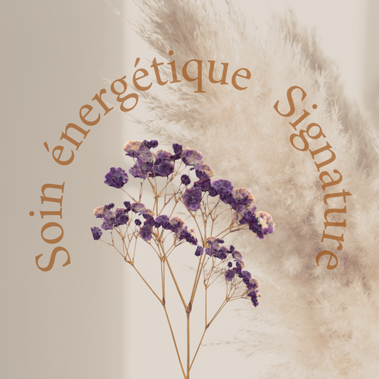 Soin Énergétique “Signature” à Distance | Canalisation & Rééquilibrage